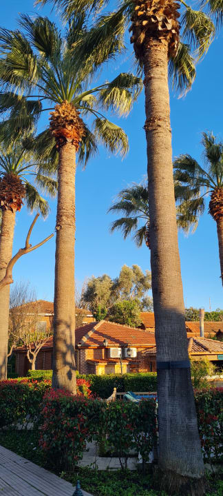 Gartenanlage Can Garden Beach