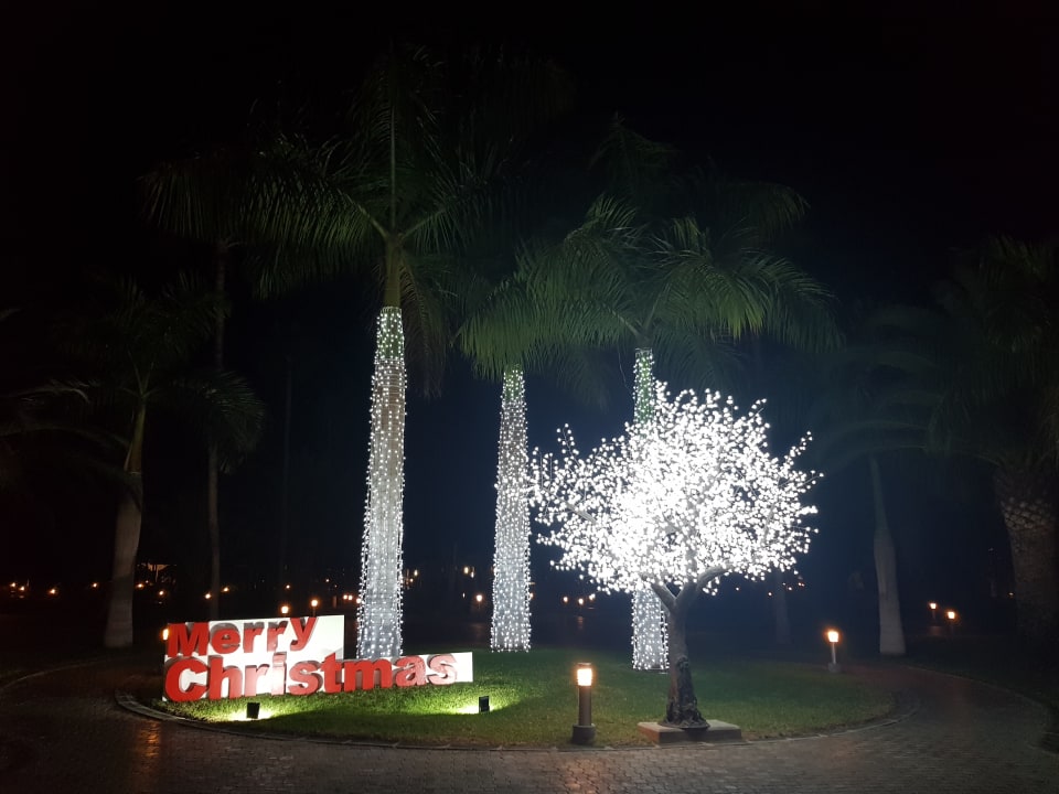 Gartenanlage Hotel Riu Gran Canaria