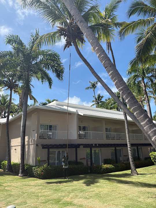 Gartenanlage Grand Palladium Palace Resort Spa & Casino - All Inclusive