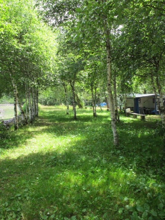 Tolle Stellplätze Naturcamping Weiherhof