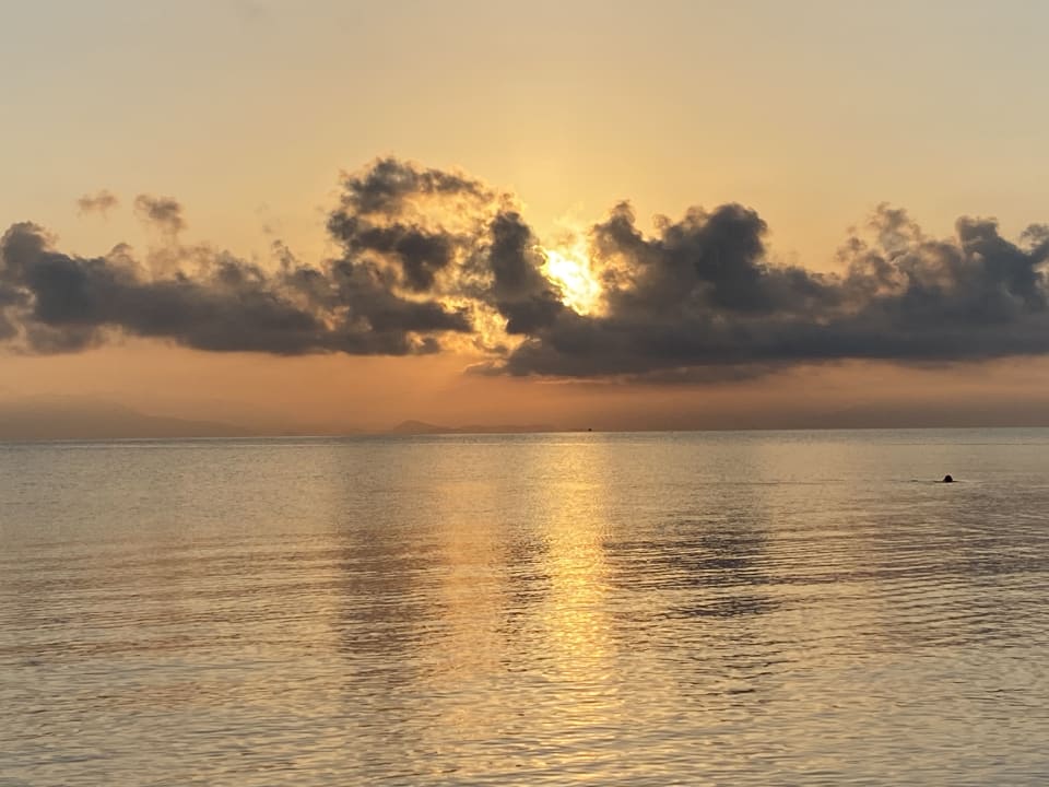 Ausblick Hotel Albatros