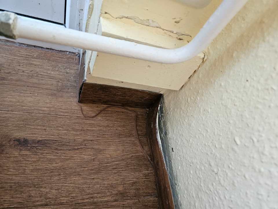 Zimmer Ferienwohnungen Ferienpark Weissenhäuser Strand