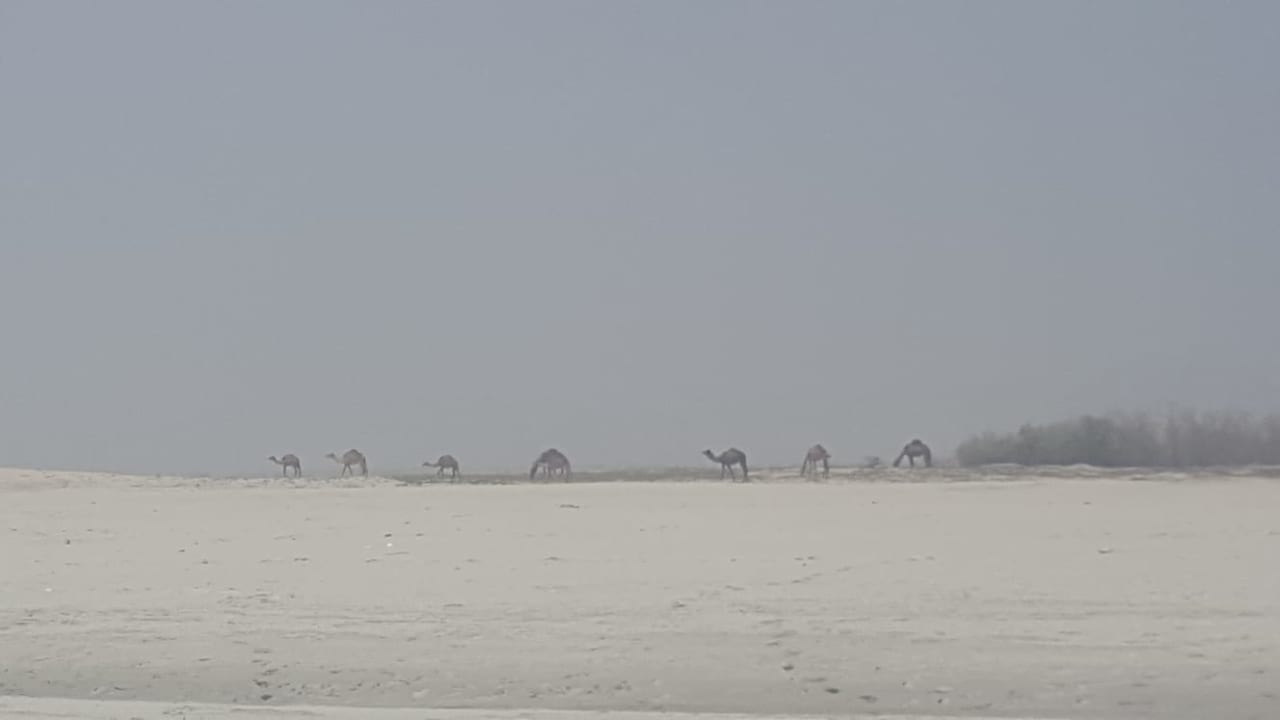 Strand Salalah Rotana Resort