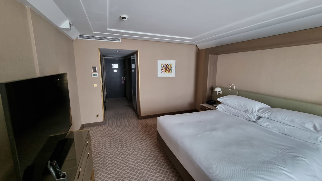 Zimmer Hilton Vienna Plaza