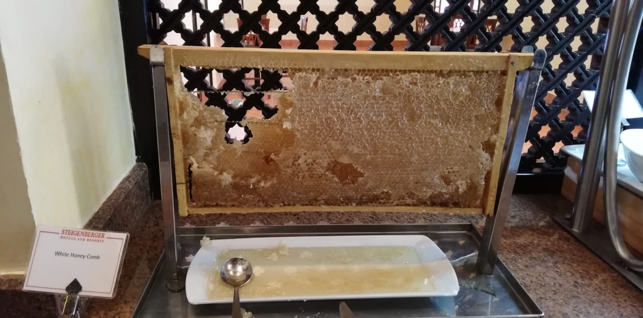 Gastro Steigenberger Coraya Beach - Adults only