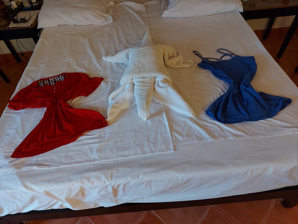 Zimmer Three Corners Sea Beach Resort