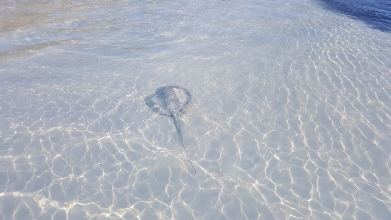 Strand Akumal Bay Beach & Wellness Resort