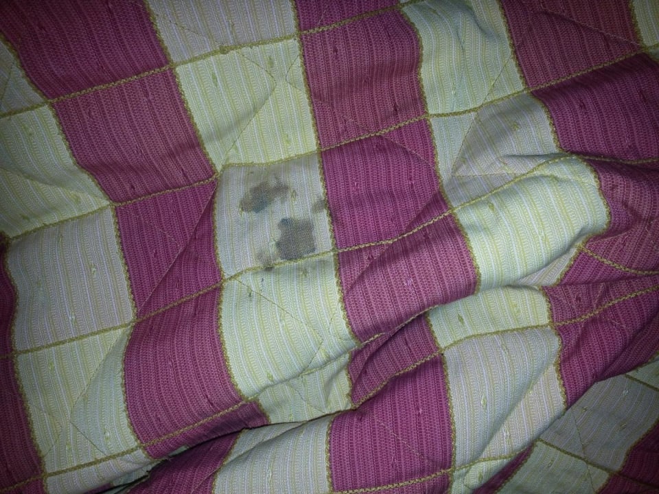 Flecken auf der Tagesdecke Hotel Dante