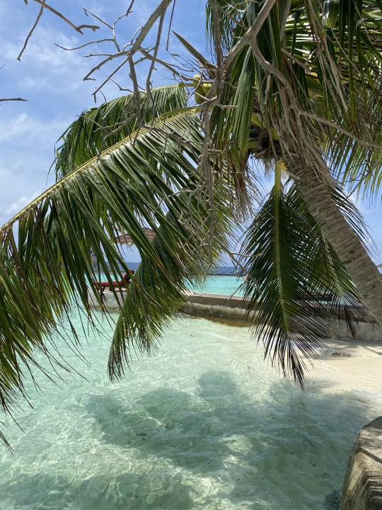 Strand Ellaidhoo Maldives by Cinnamon