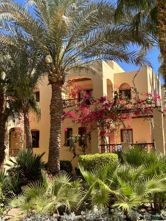 Außenansicht Steigenberger Coraya Beach - Adults only