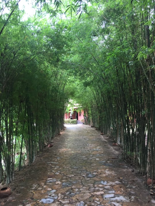 Gartenanlage Zazen Boutique Resort & Spa