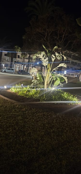 Gartenanlage CM Playa del Moro