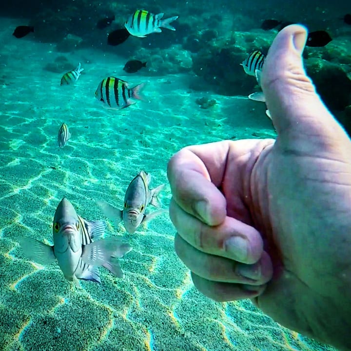 Strand Malikia Resort Abu Dabbab