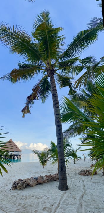 Strand Hotel Riu Jambo