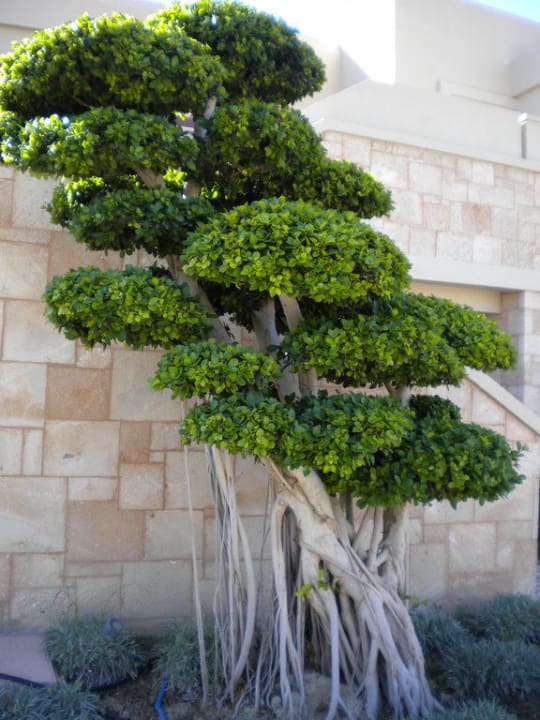 Garten Aquagrand Artistic Luxury Beach Resort - Adults only