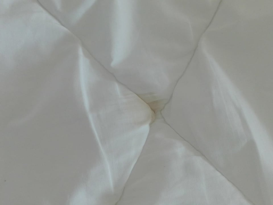 Zimmer Well Palace Side