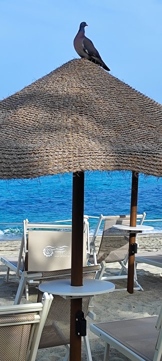 Strand Hotel Villaggio Il Gabbiano