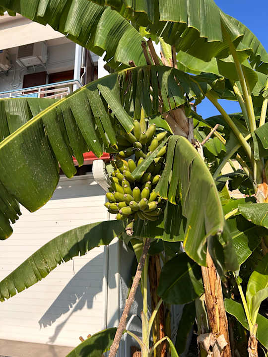 Gastro Akroyali Hotel & Villas