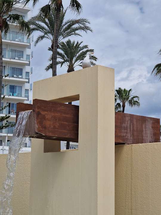 Ausblick Hotel Biniamar