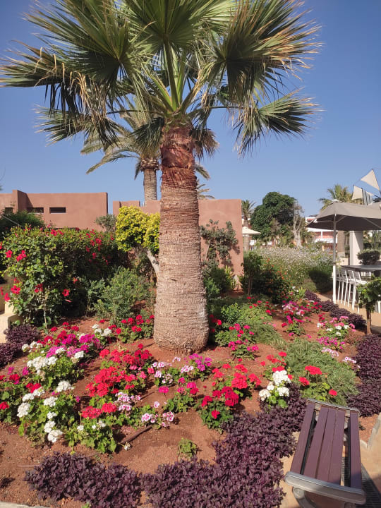 Gartenanlage Anissa Beach & Village