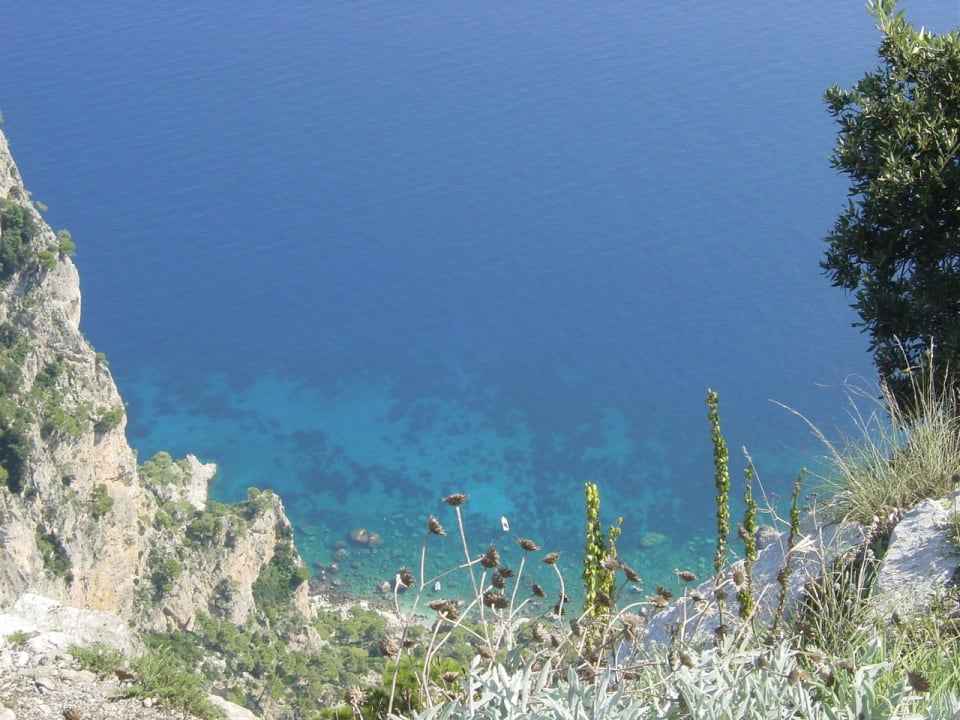 Ausblick Shams Alam Beach Resort