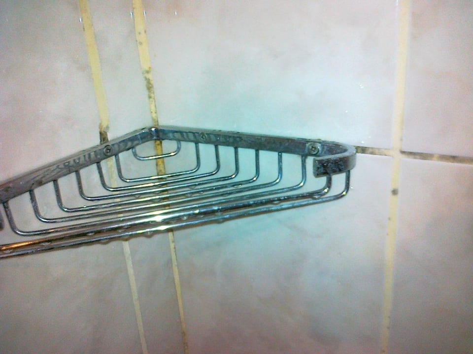 Unsere Kleine Pilzfarm  Kleopatra Balik