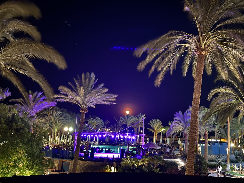 Gartenanlage Club Paradisio El Gouna, Red Sea