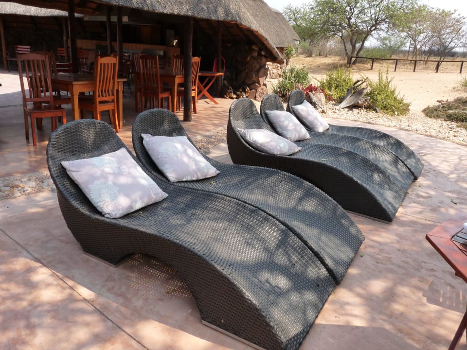 Bequeme Liegen am Pool Kalahari Bush Breaks Lodge