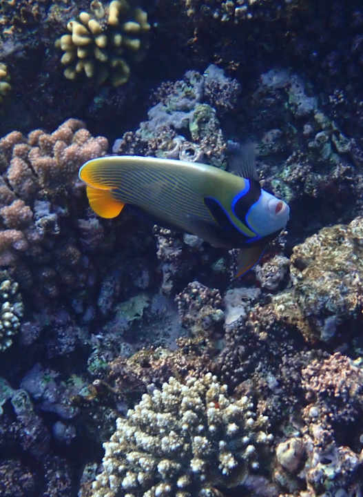 Sport & Freizeit Utopia Beach Club