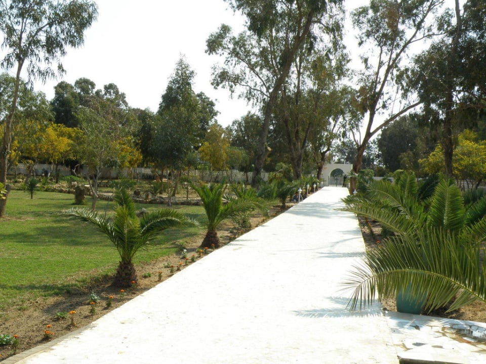 Ogród Hotel Aqua Life Yasmine