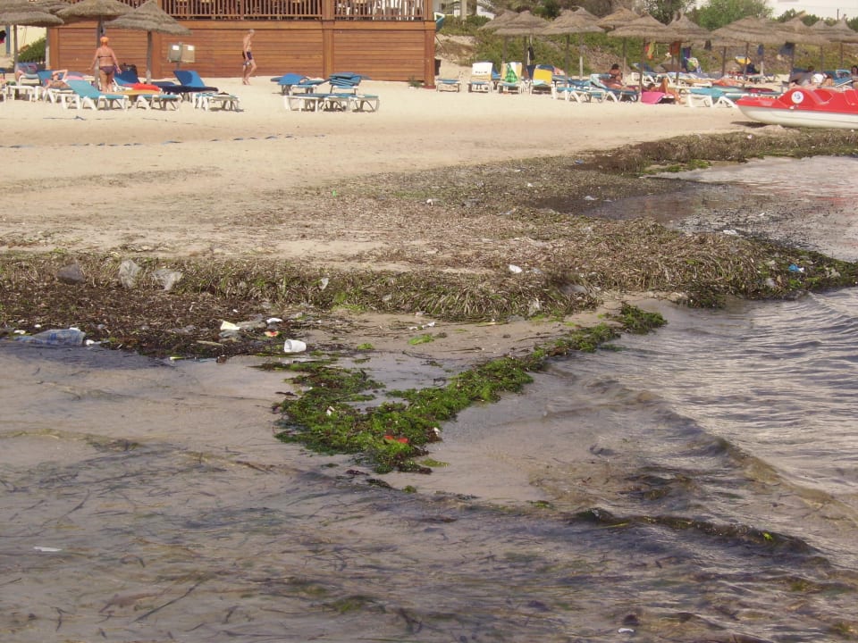 Hotel Marhaba Royal Salem Marhaba Royal Salem