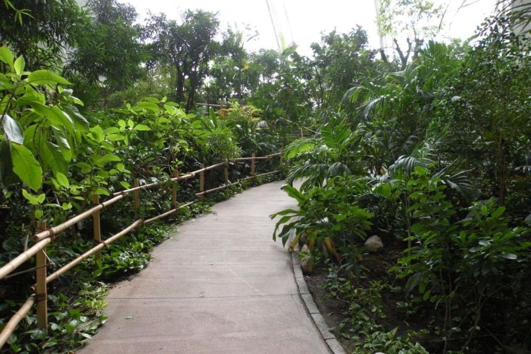 Im Tropenwald Tropical Islands Resort