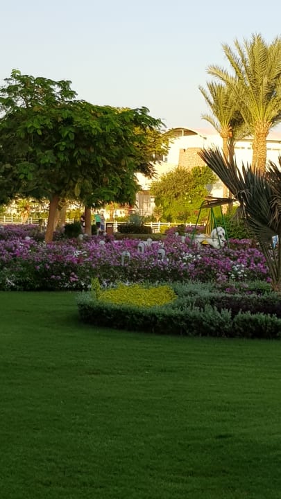 Gartenanlage Pickalbatros Dana Beach Resort - Hurghada