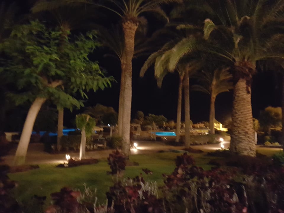 Gartenanlage R2 Pajara Beach