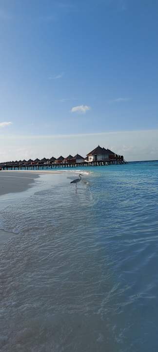 Strand Safari Island Maldives