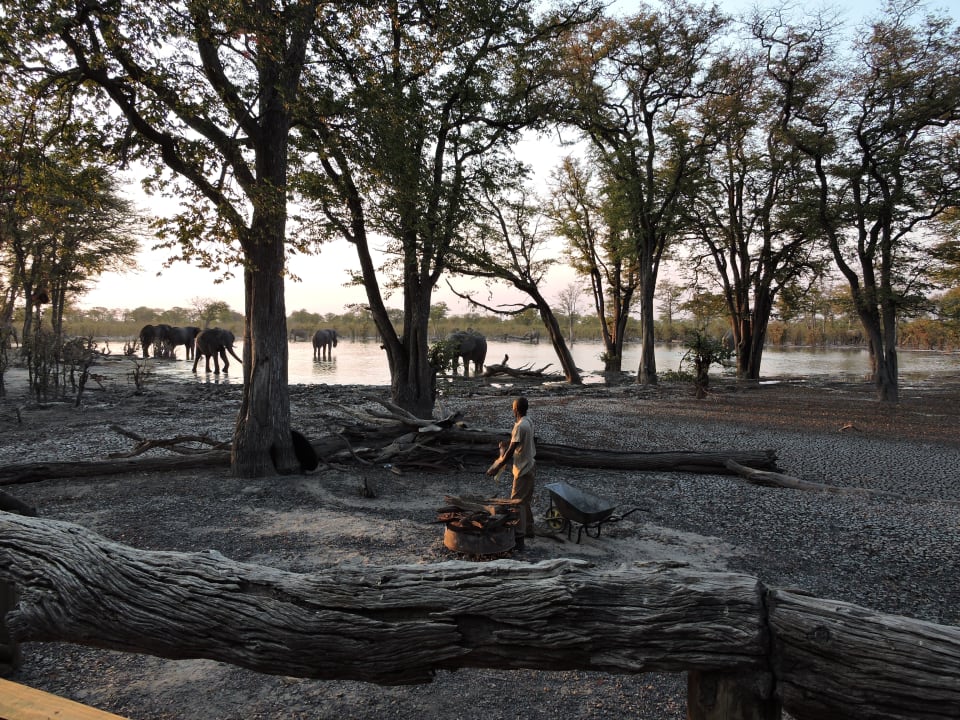 Ausblick Hyena Pan Tented Camp