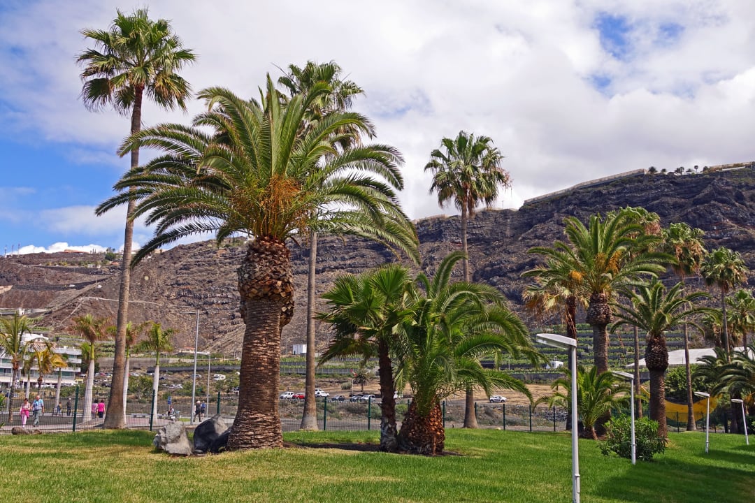 Gartenanlage Melia La Palma Hotel