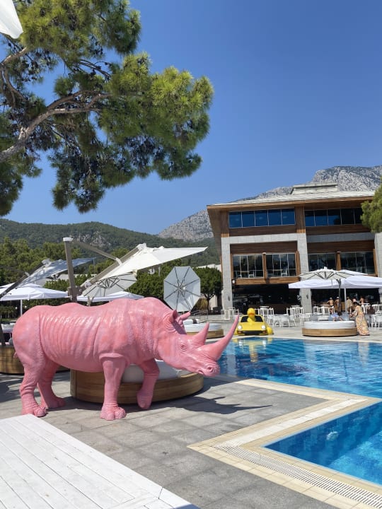 Pool Rixos Sungate