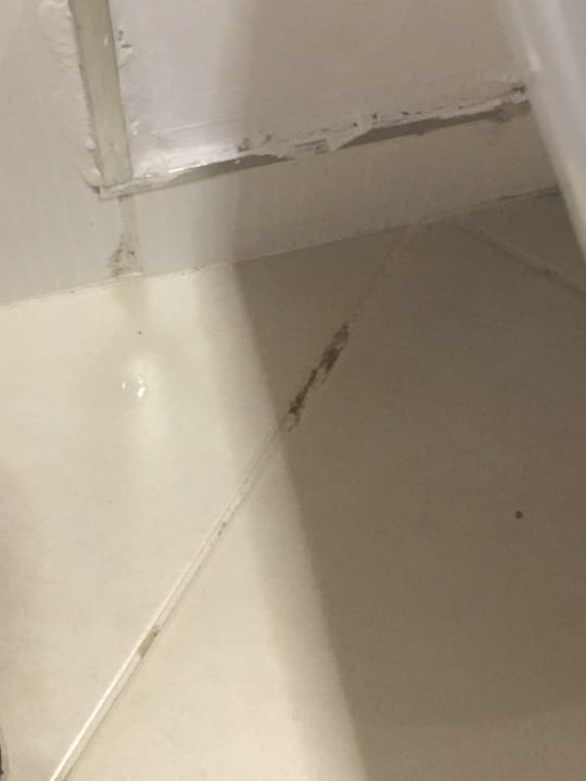 Zimmer Kamelya Aishen Club