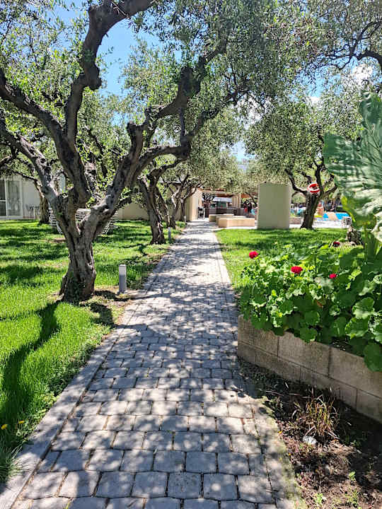 Gartenanlage TUI KIDS CLUB Alex Beach