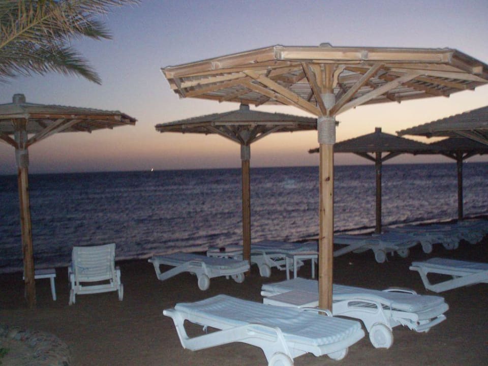 Sonnenaufgang Palm Beach Resort