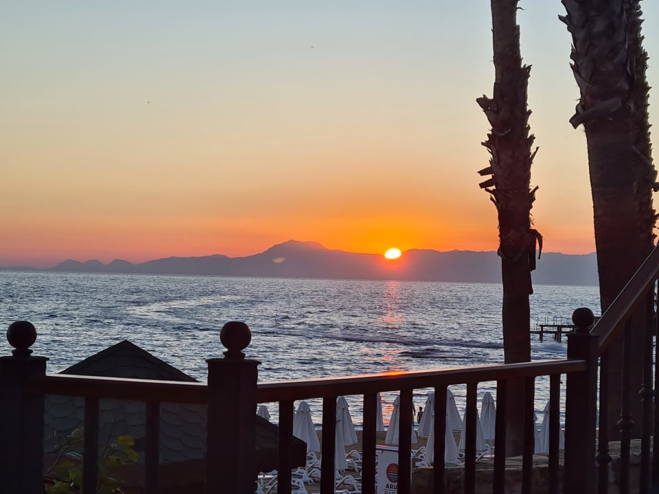 Ausblick Arum Barut Collection