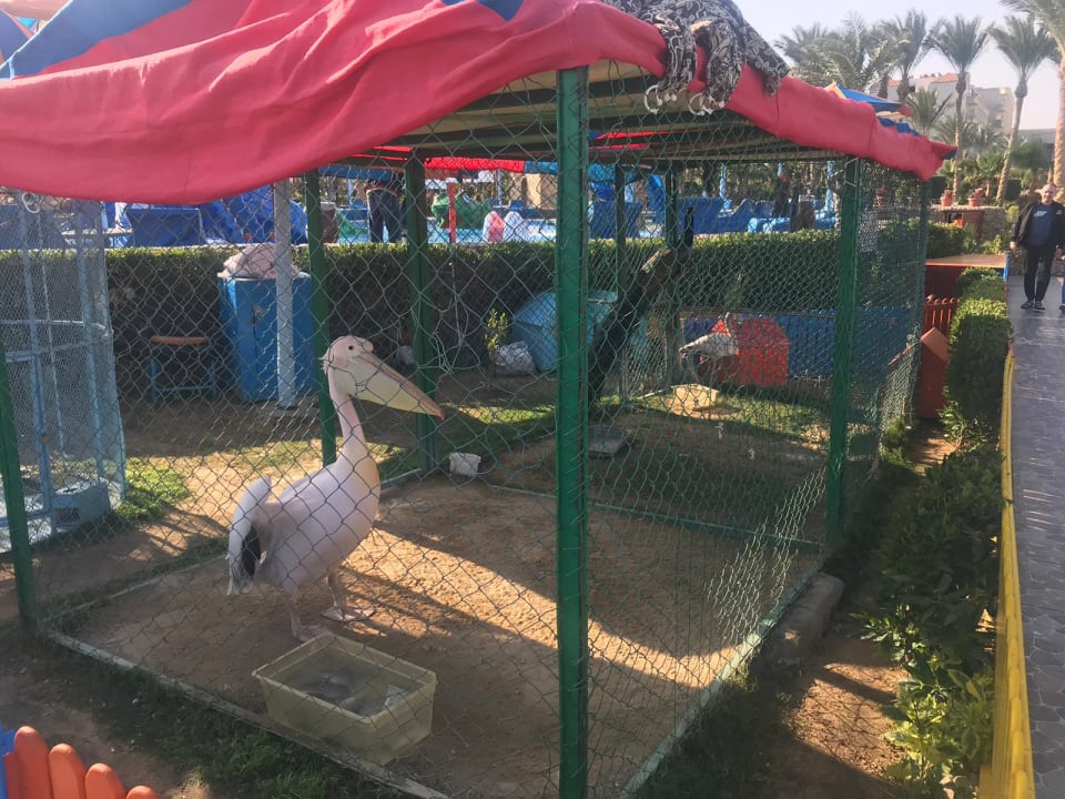 Sonstiges Riviera Aqua Park Resort