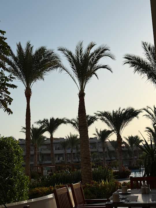 Gastro Jaz Costa Mares (Adults Only)