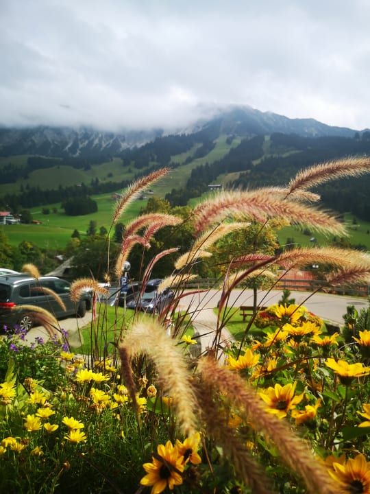 Ausblick Oberjoch - Familux Resort