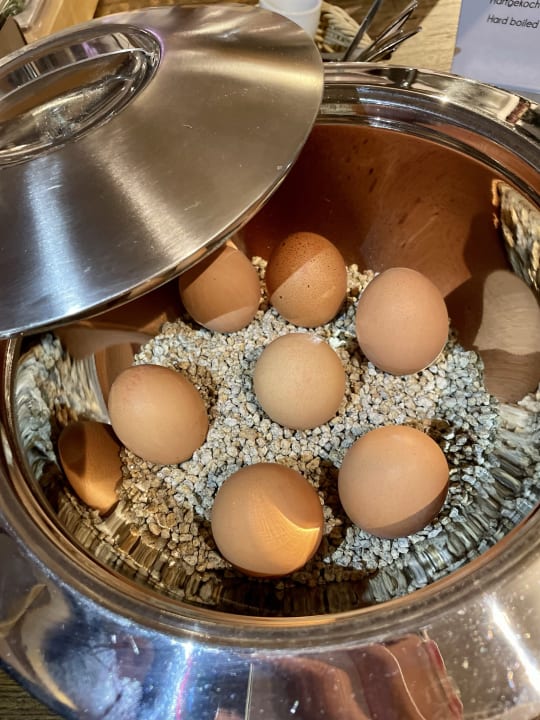 Gastro Rhein-Hotel St.Martin