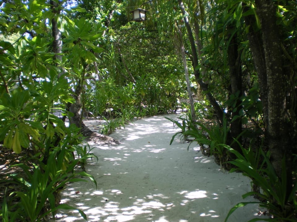 Weg durch die Insel NH Collection Maldives Reethi Resort