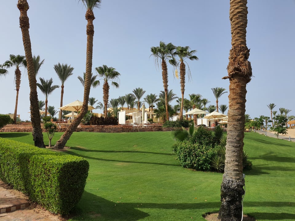 Gartenanlage Steigenberger Coraya Beach - Adults only