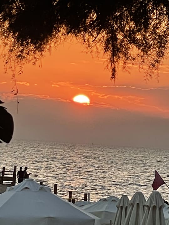 Ausblick Arum Barut Collection
