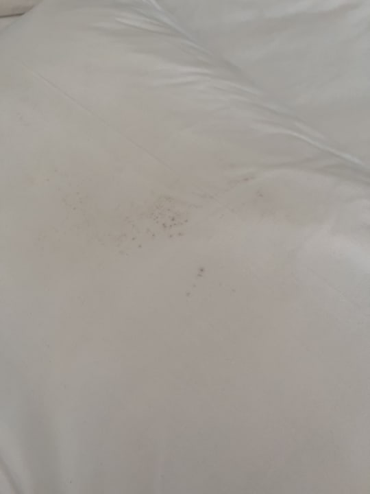 Zimmer Marina Resort Port Ghalib, a member of Radisson Individuals